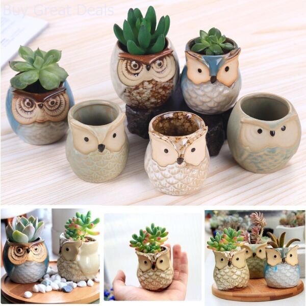 2.5 Inch Owl Pots Little Ceramic Succulent Flower Bonsai Window Planters Pots