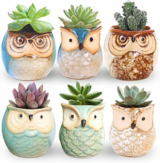 6 Pcs 2.5 Inches Owl Pots Little Ceramic Succulent Bonsai Pots with a Hole